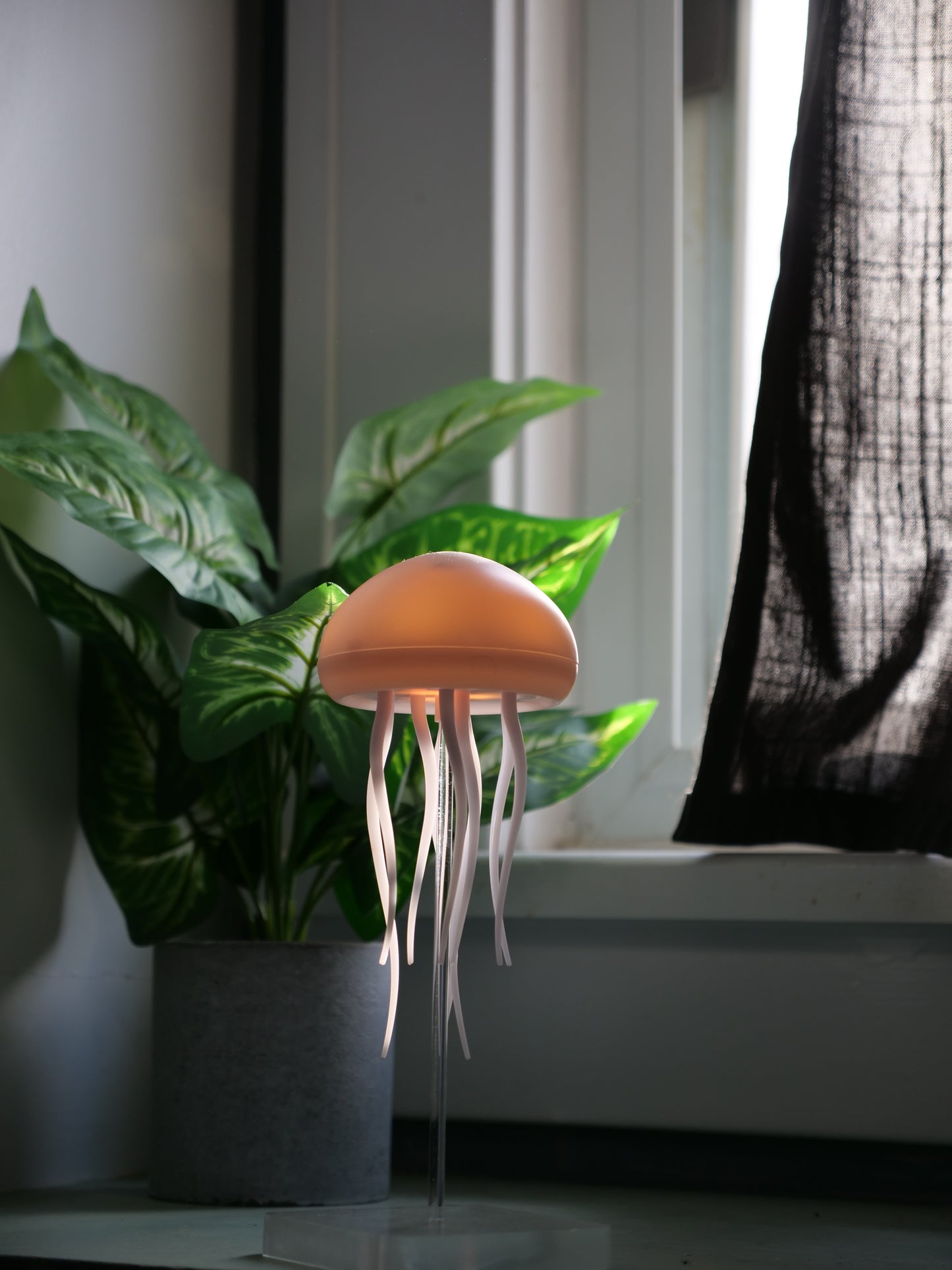 Magic Jellyfish Lamp